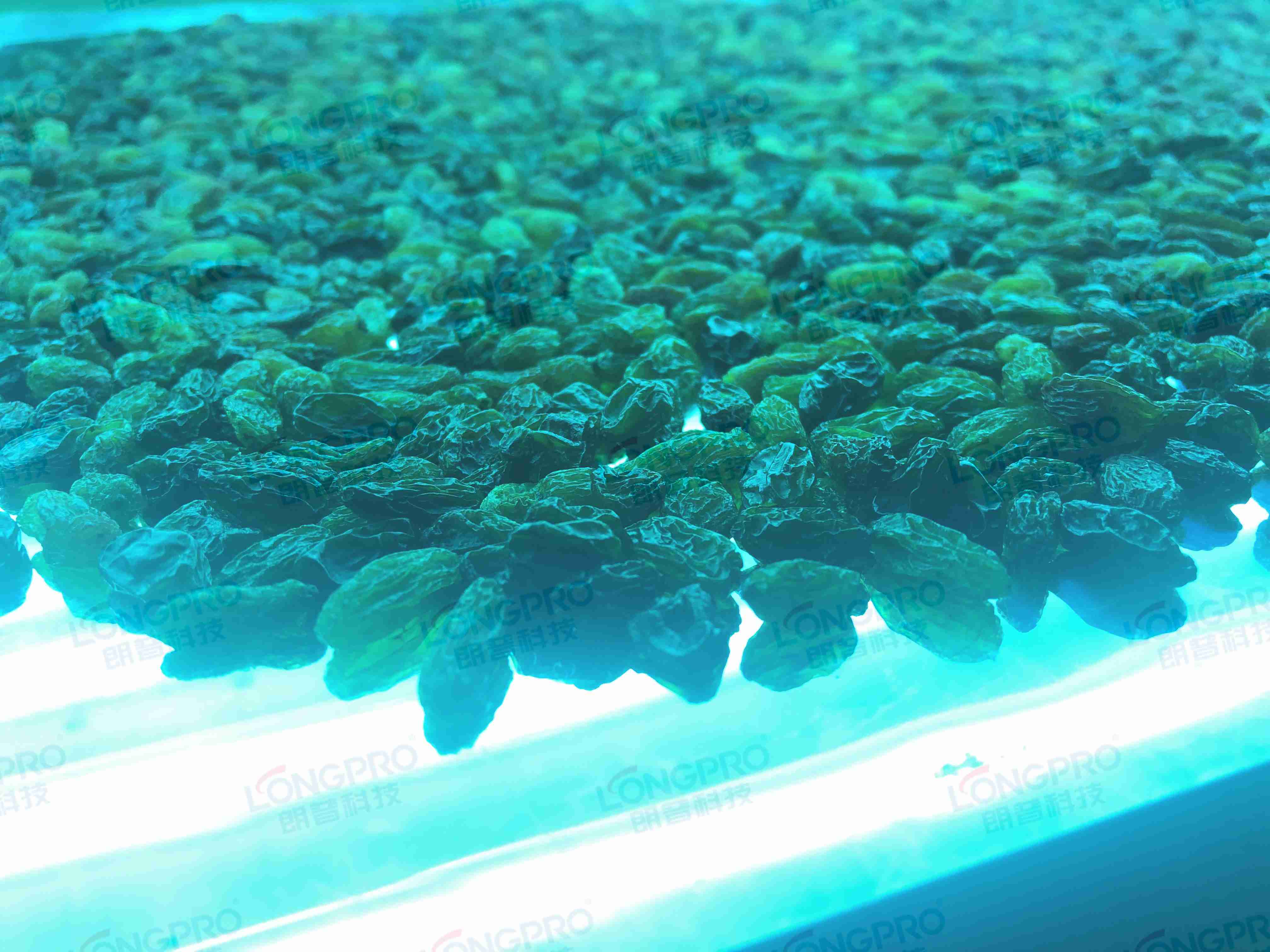 食品細(xì)菌超標(biāo)怎么解決？utf-8