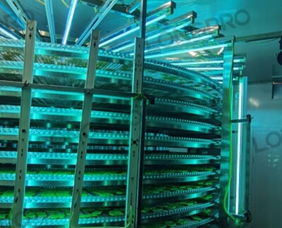 食品廠防爆紫外線殺菌燈：保障食品生產(chǎn)環(huán)境安全的利器！