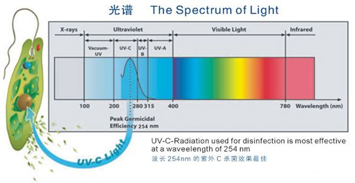 科普！紫外線殺菌燈對人體影響及正確使用方法