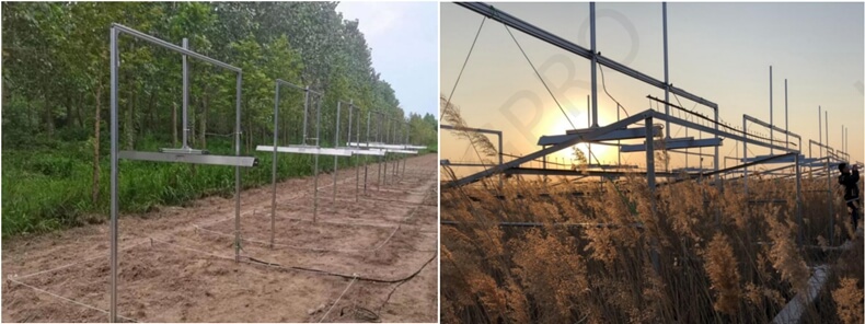 植物增溫模擬.jpg 植物增溫模擬.jpg